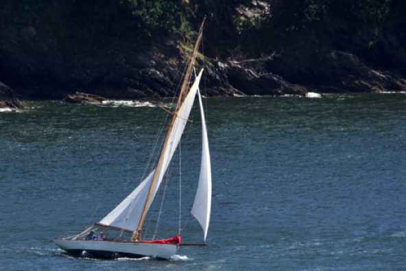 29 July 2023 - 13:56:42

------------------------
Classic yacht Cynthia. Sail number 223